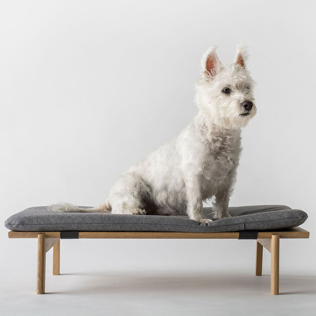 Walden Dog Bed