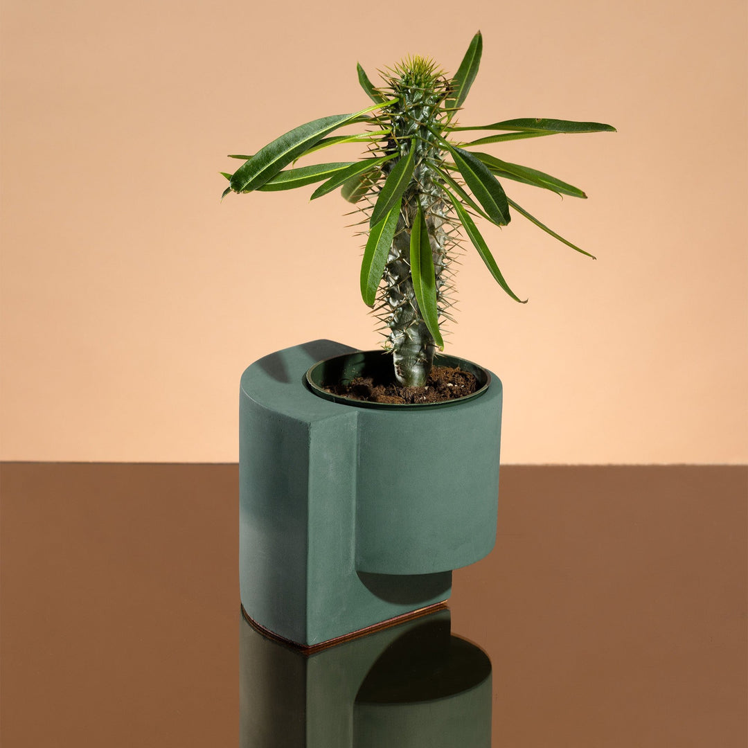 Platform Planter Small - Polished Concrete