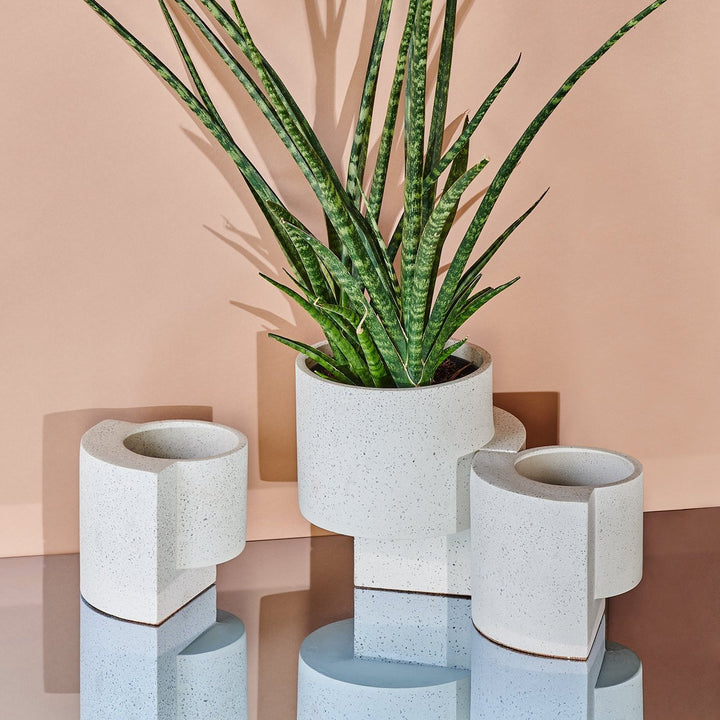 Platform Planters Minimalist Trio