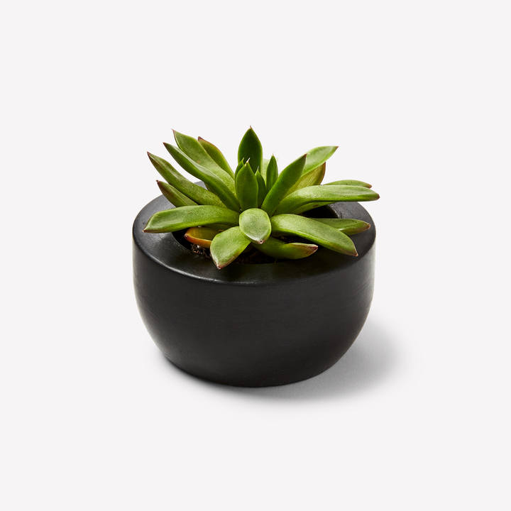 Dark Gray Concrete Succulent Pot